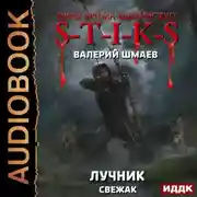 Постер книги Лучник (свежак)