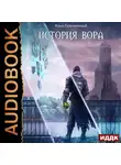 Илья Соломенный - История вора