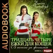 Постер книги Тридцать четыре Ёжки для Кощея. В погоне за женихом. Книга 2