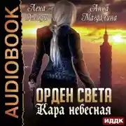 Постер книги Орден Света. Кара небесная