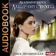 Постер книги Лабиринт стихий