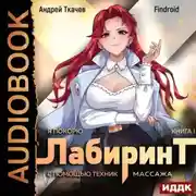 Постер книги Я покорю Лабиринт с помощью техник массажа. Книга 1