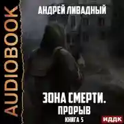 Постер книги Прорыв