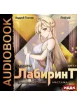 Андрей Ткачев - Я покорю Лабиринт с помощью техник массажа. Книга 4