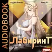Постер книги Я покорю Лабиринт с помощью техник массажа. Книга 4