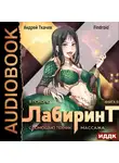 Андрей Ткачев - Я покорю Лабиринт с помощью техник массажа. Книга 3