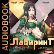 Постер книги Я покорю Лабиринт с помощью техник массажа. Книга 3
