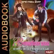Постер книги Волшебная няня, или История о том, как я женился на ведьме