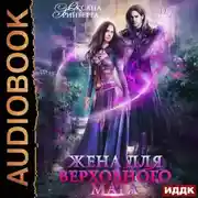 Постер книги Жена для Верховного мага
