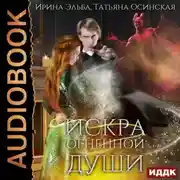 Постер книги Искра огненной души