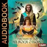 Постер книги Никаких ведьм на моем отборе!