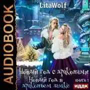 Постер книги Новый год в драконьем замке