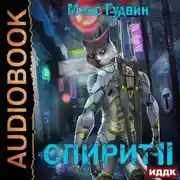 Постер книги СПИРИТ. Книга 2