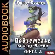 Постер книги Подземелье по наследству. Книга 3