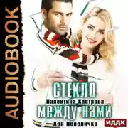Постер книги Стекло между нами