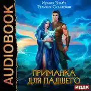 Постер книги Приманка для падшего