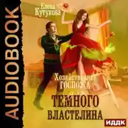 Постер книги Хозяйственная госпожа для Темного властелина