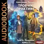 Постер книги Трое на практике