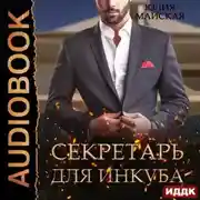Постер книги Секретарь для инкуба