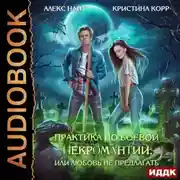 Постер книги Практика по боевой некромантии, или Любовь не предлагать