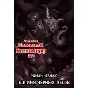 Постер книги Богиня черных лесов