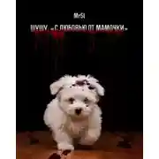 Постер книги Шушу. С любовью от мамочки