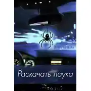 Постер книги Раскачать паука