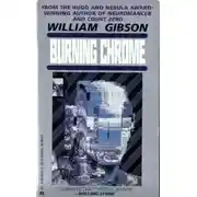 Постер книги Сожжение Хром