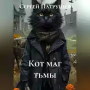 Постер книги Кот - маг тьмы