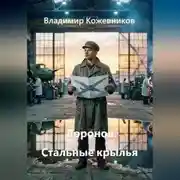 Постер книги Воронов. Стальные крылья