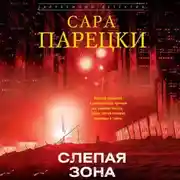 Постер книги Слепая зона