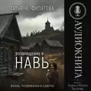 Постер книги Возвращение в Навь