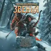 Постер книги Сверхкомплектные звенья