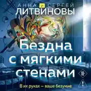 Постер книги Бездна с мягкими стенами