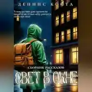 Постер книги Свет в окне