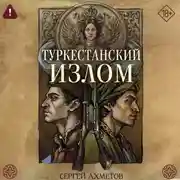 Постер книги Туркестанский излом