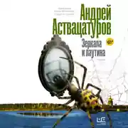 Постер книги Зеркала и паутина