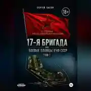 Постер книги 17-я бригада или боевые пловцы КЧФ СССР