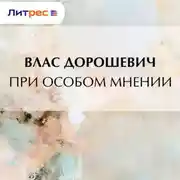 Постер книги При особом мнении
