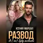 Постер книги Развод. Я (не) буду мстить