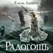 Постер книги Радогощь