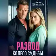 Постер книги Развод. Колесо судьбы