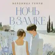 Постер книги Ночь в замке