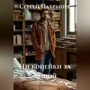 Постер книги Ни копейки за душой