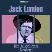 Постер книги Bir Alkoliğin Anıları
