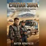 Постер книги Слепая зона