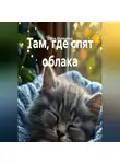 Zulfira Altynbekova - Там, где спят облака
