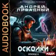 Постер книги Осколки