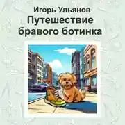 Постер книги Путешествие бравого ботинка