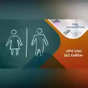 Постер книги Слагаемые качественного и безопасного секса